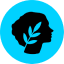 Metis Token